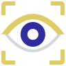 icons8-vision-96